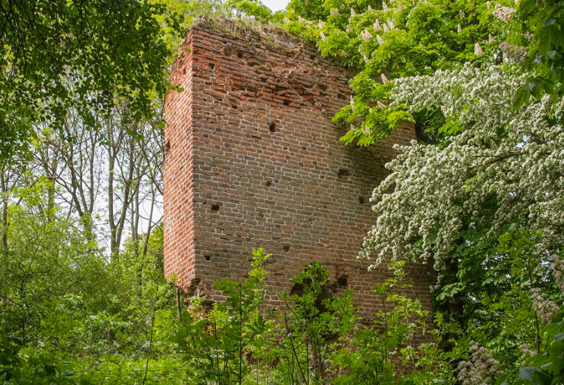 Borysławice Zamkowe, Poland